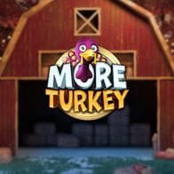 More Turkey game icon